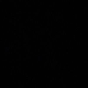 Meet your Posher, Nadia